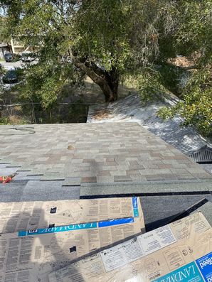 Roof Installation in New Port Richey, FL (5)